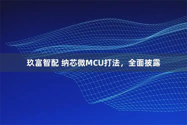 玖富智配 纳芯微MCU打法,全面披露