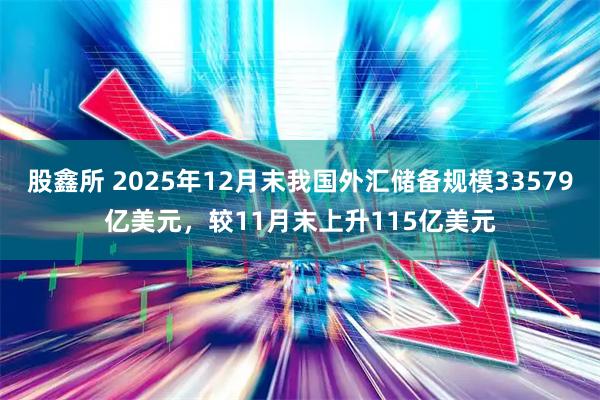 股鑫所 2025年12月末我国外汇储备规模33579亿美元,较11月末上升115亿美元